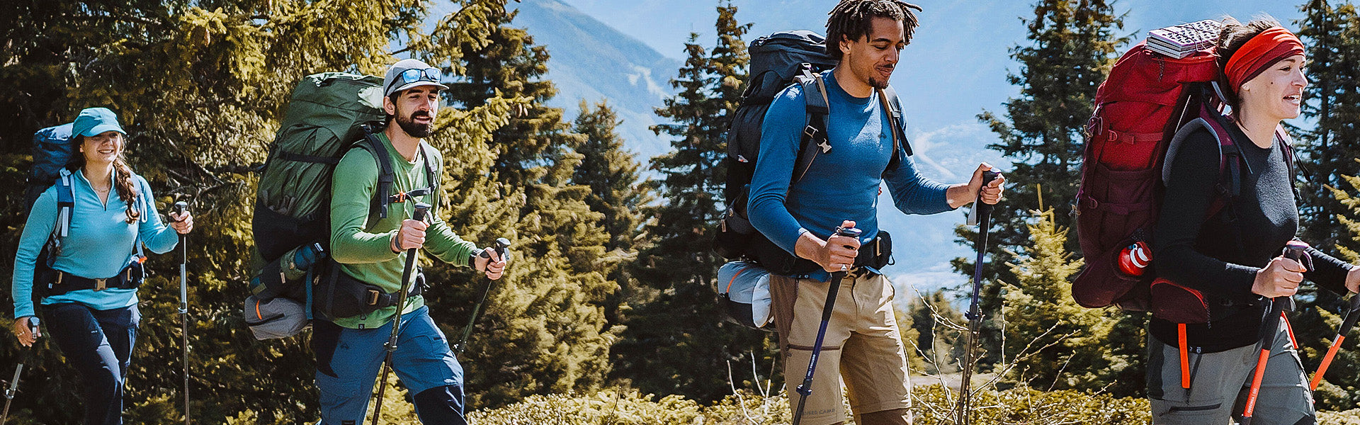 Four hikers with backpacks and trekking poles walk uphill through a forested mountain area on a sunny day.